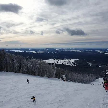 Almberg Mitterdorf *